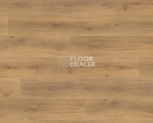 Ламинат Haro Tritty 100 Gran Via 4V ДУБ ЭМИЛИЯ МЕДОВЫЙ 538772 фото 1 | FLOORDEALER